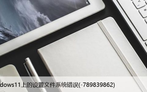 修复：Windows11上的设置文件系统错误(-789839862)