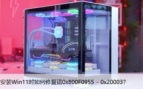 重新安装Win11时如何修复错0x800F0955 – 0x20003？