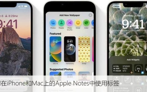 如何在iPhone和Mac上的Apple Notes中使用标签