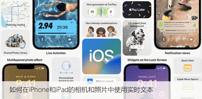 如何在iPhone和iPad的相机和照片中使用实时文本