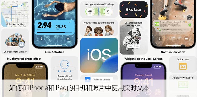 如何在iPhone和iPad的相机和照片中使用实时文本