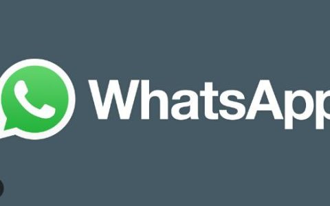 如何修复您的电话日期在WhatsApp中不准确的错误