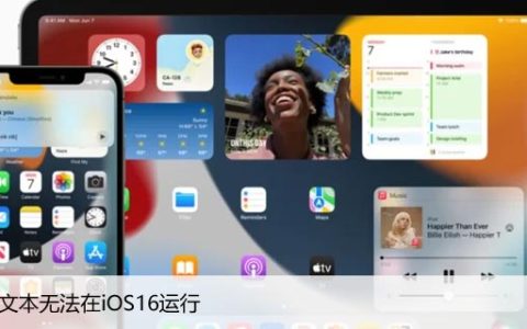 实时文本无法在iOS16运行，苹果手机修复文本问题