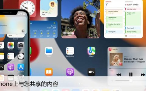 在iPhone上与您共享的内容（与朋友共享的快乐）