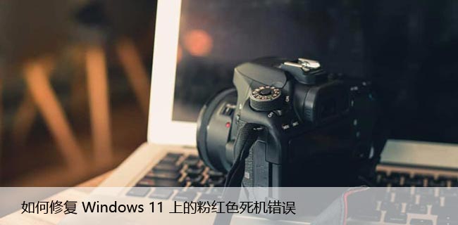 如何修复Windows11上的粉红色死机错误