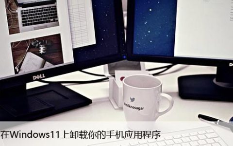 如何在Windows11上卸载你的手机应用程序