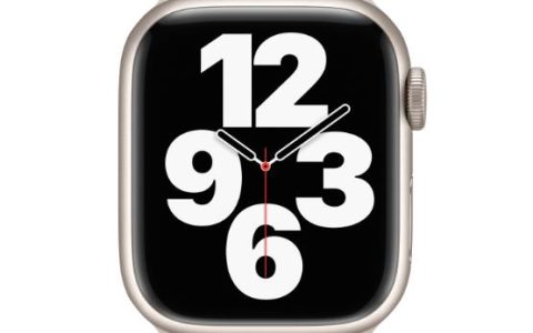 如何在Apple Watch上分享活动并与朋友竞争