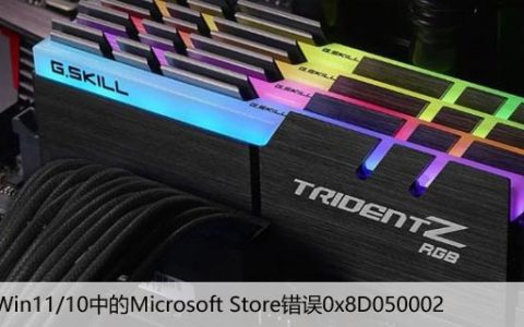 修复Win11/10中的Microsoft Store错误0x8D050002