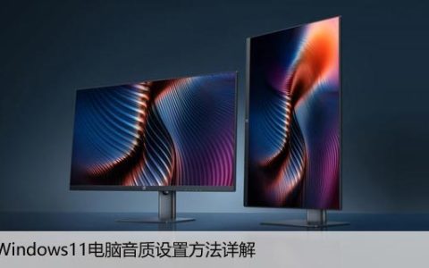 提高Windows11电脑音质设置方法详解