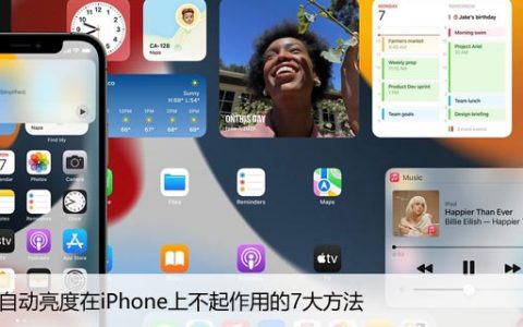 修复自动亮度在iPhone上不起作用的7大方法