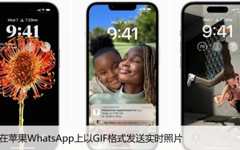 如何在苹果WhatsApp上以GIF格式发送实时照片