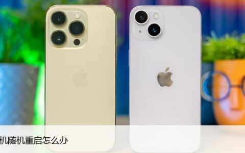 苹果手机随机重启怎么办（修复iPhone自动重启的8大方法）