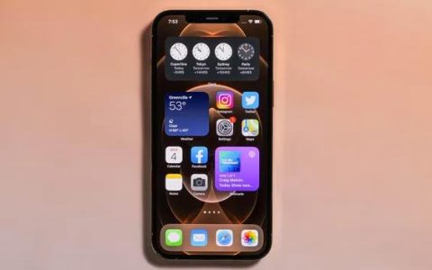 如何在Apple Pages App中添加页码