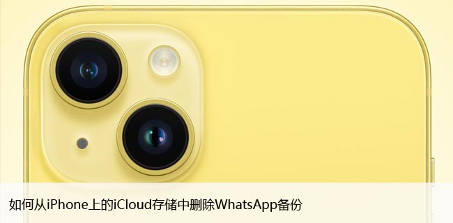 如何从iPhone上的iCloud存储中删除WhatsApp备份