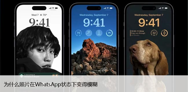 如何避免在Whatsapp中发送模糊照片，完美解决方案