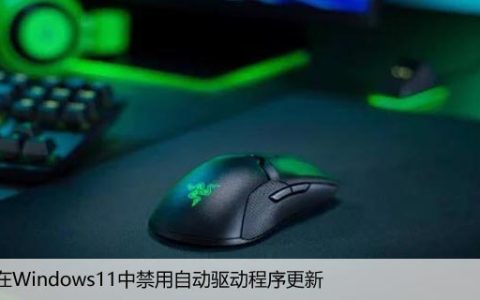 如何在Windows11中禁用自动驱动程序更新