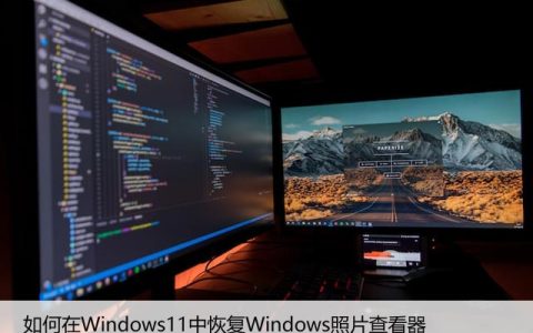 如何在Windows11中恢复Windows照片查看器