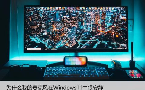 为什么我的麦克风在Windows11中很安静？6个修复尝试