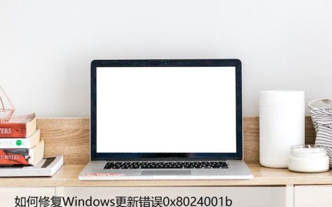 如何修复Windows更新错误0x8024001b