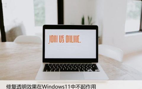 修复透明效果在Windows11中不起作用