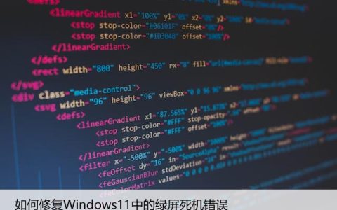 如何修复Windows11中的绿屏死机错误，1分钟解决