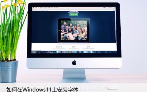 如何在Windows11上安装字体，快速安装方法