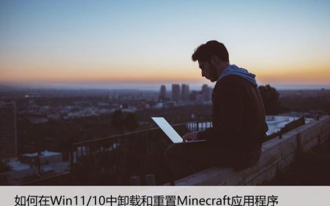 如何在Win11/10中卸载和重置Minecraft应用程序