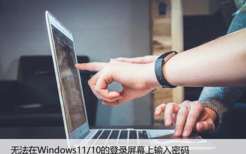 无法在Windows11/10的登录屏幕上输入密码