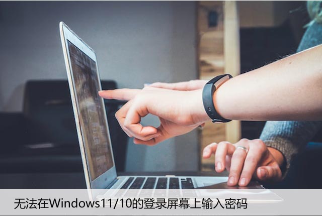 无法在Windows11/10的登录屏幕上输入密码