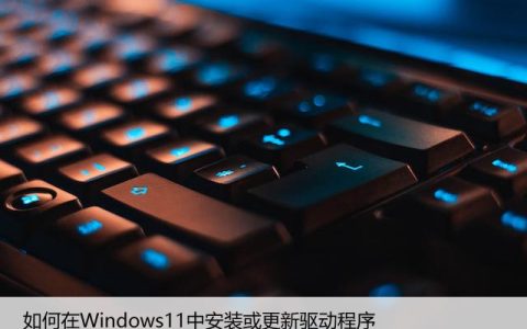 如何在Windows11中安装或更新驱动程序