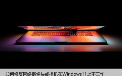 如何修复网络摄像头或相机在Windows11上不工作