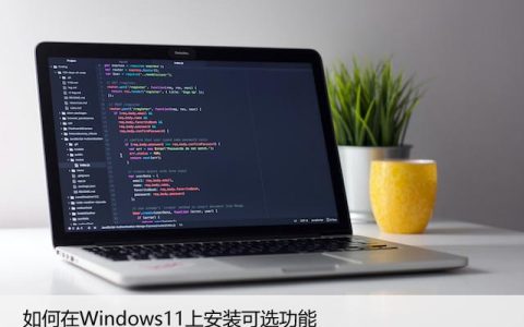 如何在Windows11上安装可选功能，简单操作方法