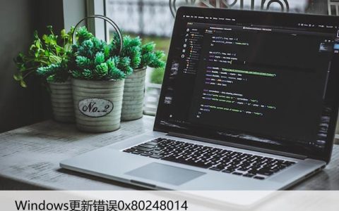 如何解决Windows更新错误0x80248014，4种方法