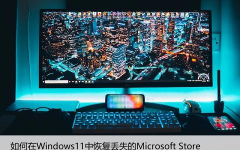 如何在Windows11中恢复丢失的Microsoft Store