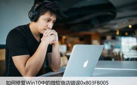 如何修复Win10中的微软商店错误0x803FB005