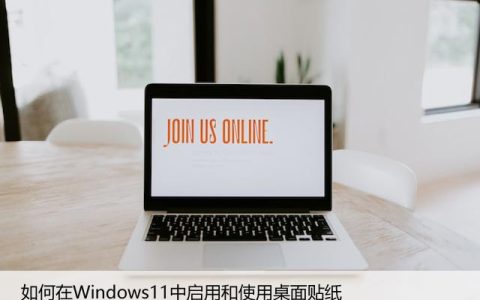 如何在Windows11中启用和使用桌面贴纸