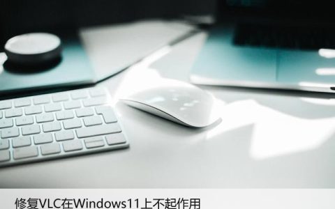 修复VLC在Windows11上不起作用