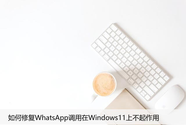 如何修复WhatsApp调用在Windows11上不起作用