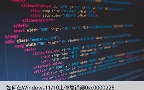 如何在Windows11/10上修复错误0xc0000225