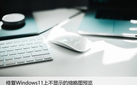 修复Windows11上不显示的缩略图预览