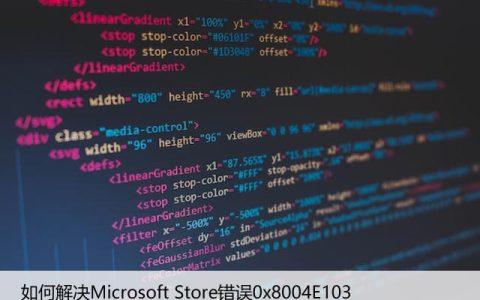 如何解决Microsoft Store错误0x8004E103