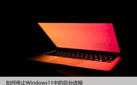 如何停止Windows11中的后台进程，教你如何关闭它们