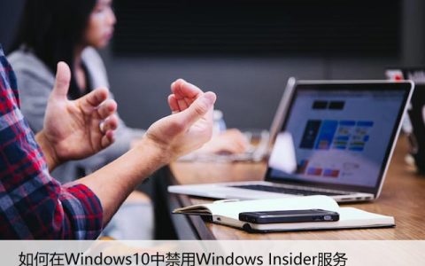 如何在Windows10中禁用Windows Insider服务