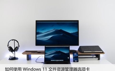 Windows11文件资源管理器选项卡的使用方法