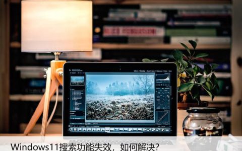 Windows11搜索功能失效，如何解决？