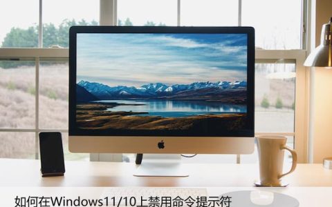 如何在Windows11/10上禁用命令提示符