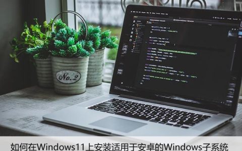 如何在Win11上安装适用于安卓的Windows子系统