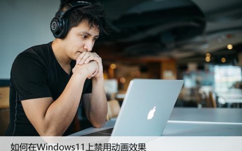 Win11动画效果影响性能？如何在Win11上禁用动画效果