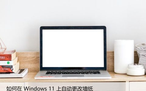 Windows11墙纸自动更换方法，让桌面更有趣