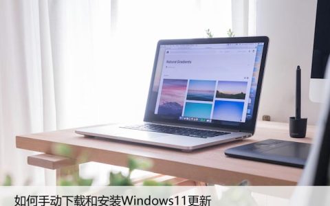如何手动下载和安装Windows11更新